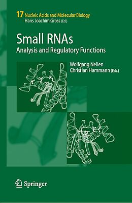 eBook (pdf) Small RNAs: de Wolfgang Nellen, Christian Hammann