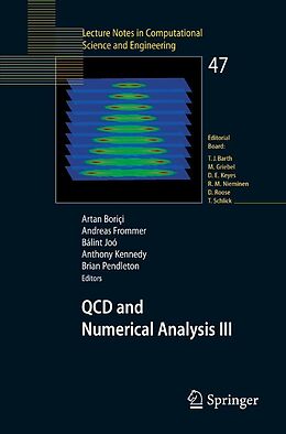 eBook (pdf) QCD and Numerical Analysis III de Artan Bori, i, Andreas Frommer, Bálint Joó