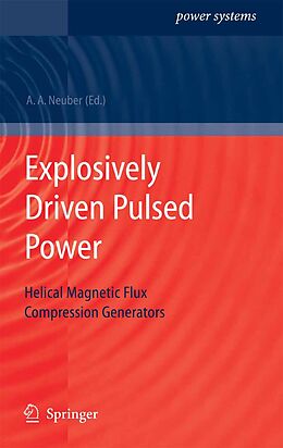 eBook (pdf) Explosively Driven Pulsed Power de 