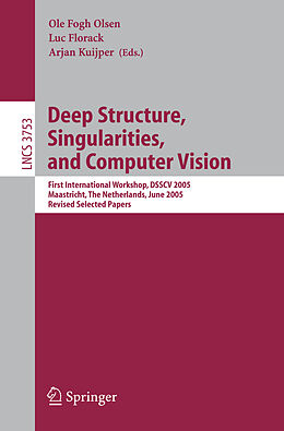 Kartonierter Einband Deep Structure, Singularities, and Computer Vision von 