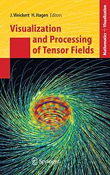 eBook (pdf) Visualization and Processing of Tensor Fields de Joachim Weickert, Hans Hagen