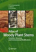 E-Book (pdf) Atlas of Woody Plant Stems von Fritz Hans Schweingruber, Annett Börner, Ernst-Detlef Schulze