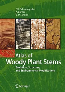 E-Book (pdf) Atlas of Woody Plant Stems von Fritz Hans Schweingruber, Annett Börner, Ernst-Detlef Schulze