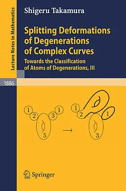 E-Book (pdf) Splitting Deformations of Degenerations of Complex Curves von Shigeru Takamura