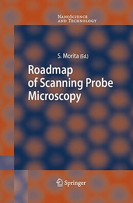 E-Book (pdf) Roadmap of Scanning Probe Microscopy von Seizo Morita