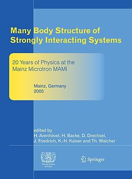 eBook (pdf) Many Body Structure of Strongly Interacting Systems de Hartmuth Arenhövel, Hartmut Backe, Dieter Drechsel
