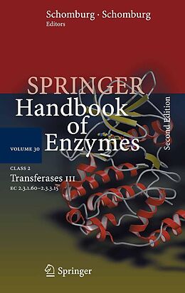E-Book (pdf) Class 2 Transferases III von Dietmar Schomburg, Ida Schomburg, Antje Chang