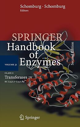 E-Book (pdf) Class 2 Transferases IV von Dietmar Schomburg, Ida Schomburg, Antje Chang