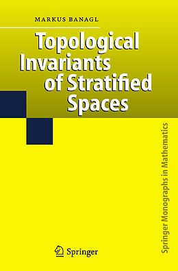 E-Book (pdf) Topological Invariants of Stratified Spaces von Markus Banagl