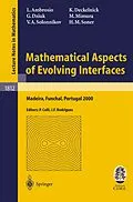 E-Book (pdf) Mathematical Aspects of Evolving Interfaces von Luigi Ambrosio, Klaus Deckelnick, Gerhard Dziuk
