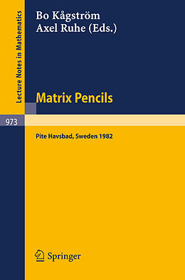 E-Book (pdf) Matrix Pencils von 