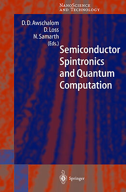 Fester Einband Semiconductor Spintronics and Quantum Computation von 