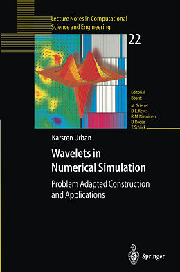 Kartonierter Einband Wavelets in Numerical Simulation von Karsten Urban