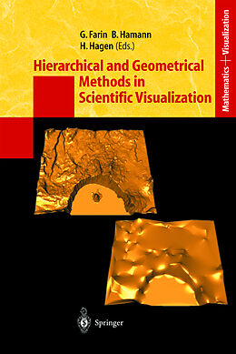 Livre Relié Hierarchical and Geometrical Methods in Scientific Visualization de 