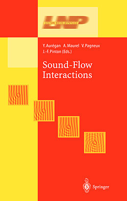 Fester Einband Sound-Flow Interactions von 