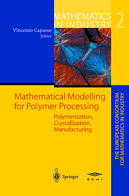 Fester Einband Mathematical Modelling for Polymer Processing von 