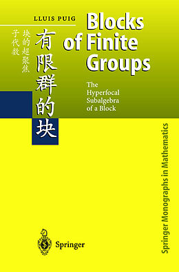 Fester Einband Blocks of Finite Groups von Lluis Puig