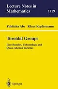 E-Book (pdf) Toroidal Groups von Yukitaka Abe, Klaus Kopfermann
