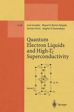 E-Book (pdf) Quantum Electron Liquids and High-Tc Superconductivity von Jose Gonzalez, Miguel A. Martin-Delgado, German Sierra