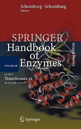 E-Book (pdf) Class 2 . Transferases IX von Dietmar Schomburg, Ida Schomburg, Antje Chang