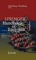 E-Book (pdf) Class 2 Transferases X von Dietmar Schomburg, Ida Scomburg, Antje Chang