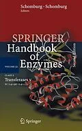 E-Book (pdf) Class 2 Transferases V von Dietmar Schomburg, Ida Schomburg