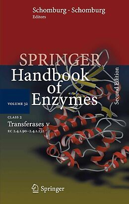 E-Book (pdf) Class 2 Transferases V von Dietmar Schomburg, Ida Schomburg