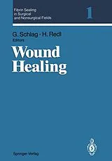 Kartonierter Einband Fibrin Sealing in Surgical and Nonsurgical Fields von