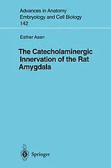 Kartonierter Einband (Kt) The Catecholaminergic Innervation of the Rat Amygdala von Esther Asan