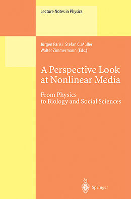 Fester Einband A Perspective Look at Nonlinear Media von 