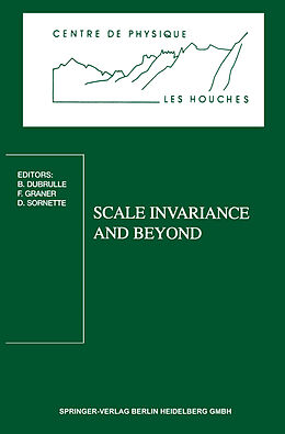 Couverture cartonnée Scale Invariance and Beyond de 