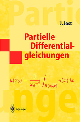 Kartonierter Einband Partielle Differentialgleichungen von Jürgen Jost