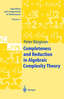Fester Einband Completeness and Reduction in Algebraic Complexity Theory von Peter Bürgisser