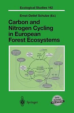Fester Einband Carbon and Nitrogen Cycling in European Forest Ecosystems, w. CD-ROM von 