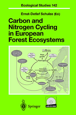 Kartonierter Einband Carbon and Nitrogen Cycling in European Forest Ecosystems von 