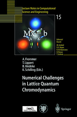 Kartonierter Einband Numerical Challenges in Lattice Quantum Chromodynamics von 