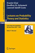 E-Book (pdf) Lectures on Probability Theory and Statistics von Evarist Giné, Geoffrey R. Grimmett, Laurent Saloff-Coste
