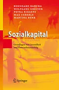 E-Book (pdf) Sozialkapital von Bernhard Badura, Wolfgang Greiner, Petra Rixgens