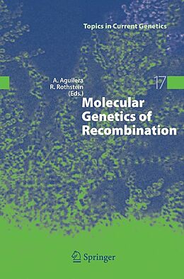 E-Book (pdf) Molecular Genetics of Recombination von Andrés Aguilera, Rodney Rothstein