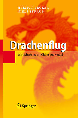 Fester Einband Drachenflug von Helmut Becker, Niels Straub