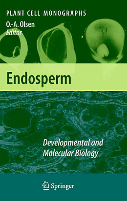 eBook (pdf) Endosperm de Odd-Arne Olsen