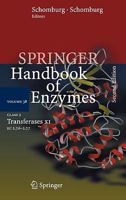 E-Book (pdf) Class 2 Transferases XI von Diethmar Schomburg, Ida Schomburg, Antje Chang