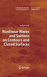 E-Book (pdf) Nonlinear Waves and Solitons on Contours and Closed Surfaces von Andrei Ludu