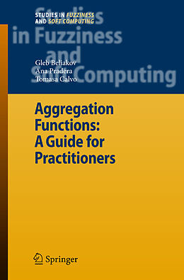 Fester Einband Aggregation Functions: A Guide for Practitioners von Gleb Beliakov, Ana Pradera, Tomasa Calvo