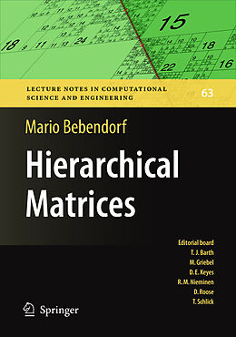 Kartonierter Einband Hierarchical Matrices von Mario Bebendorf