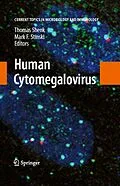 E-Book (pdf) Human Cytomegalovirus von Thomas E. Shenk, Mark F. Stinski