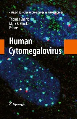E-Book (pdf) Human Cytomegalovirus von Thomas E. Shenk, Mark F. Stinski