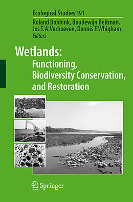Kartonierter Einband Wetlands: Functioning, Biodiversity Conservation, and Restoration von 