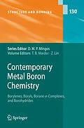 E-Book (pdf) Contemporary Metal Boron Chemistry I von 