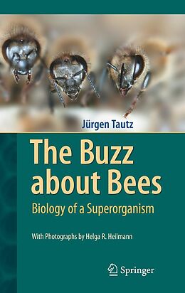 E-Book (pdf) The Buzz about Bees von Jürgen Tautz